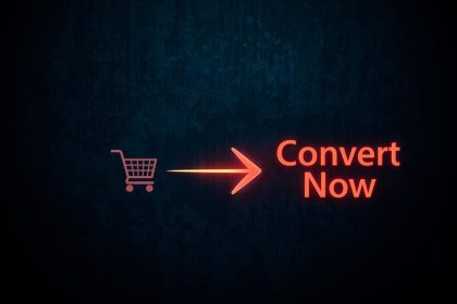 Silhouette turning from anonymity into a dollar sign journey map